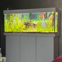 Due acquari completi