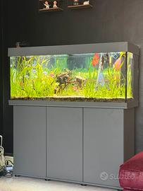 Due acquari completi