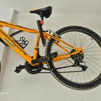 Mtb ragazzo marca Lombardo