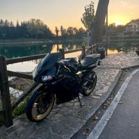 Yamaha tzr 50