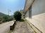 Immagine 12