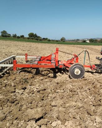 Corma Estirpatore Chisel Balestrato
