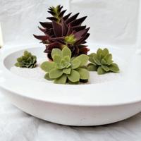 Ciotola in cemento bianco