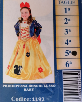 Vestito di carnevale Principessa dei boschi