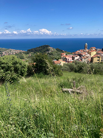 Appezzamenti di terreno