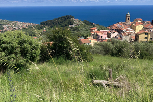 Appezzamenti di terreno