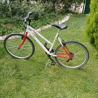 bici da donna ruota 26