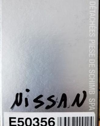 Filtri Nissan Qashqai