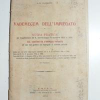 Libro 1924 diritto lavoro vademecum impiegato vint