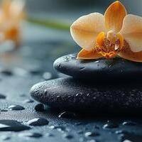 Centro Benessere - Muri ed attività