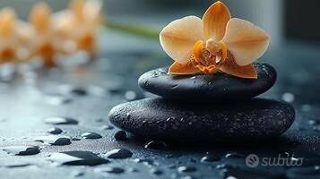 Centro Benessere - Muri ed attività