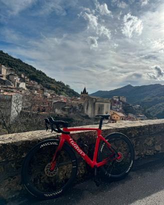 Wilier triestina