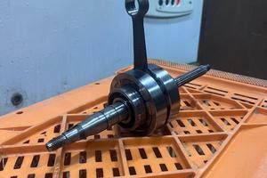 albero top spalle piene