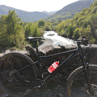 Gt avalanche Expert 2020