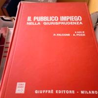 libro il pubblico impiego nella giurisprudenza 