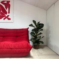 Coppia divani Togo Ligne Roset