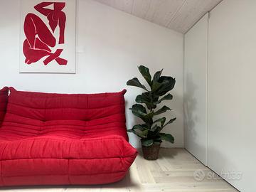 Coppia divani Togo Ligne Roset