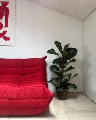Coppia divani Togo Ligne Roset