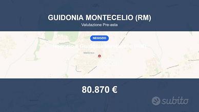 Immobile in asta di 123 m² a Guidonia Montecelio