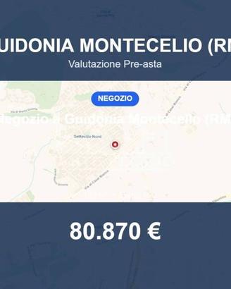 Immobile in asta di 123 m² a Guidonia Montecelio