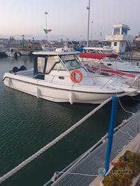 Boston whaler 290 outrage