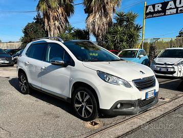 Peugeot 2008 BlueHDi 100 CV Tetto Panoramico