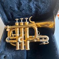 Flicornino/Cornetta mib Mario Corso