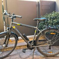 Bici da trekking e citybike