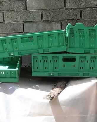 Cassette ortofrutta impilabili e richiudibili