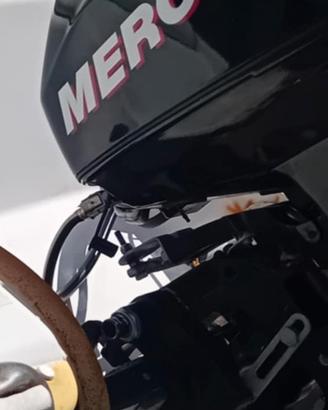 Motore fuoribordo mercury 15cv 4t