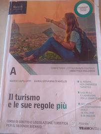 9788823353671 - Il turismo e le sue regole più