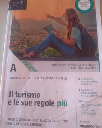 9788823353671 - Il turismo e le sue regole più