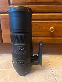 Sigma 150-500
