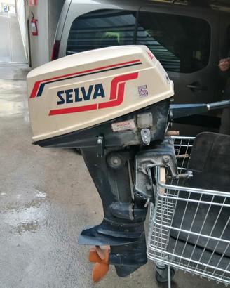  motore selva 25 hp 