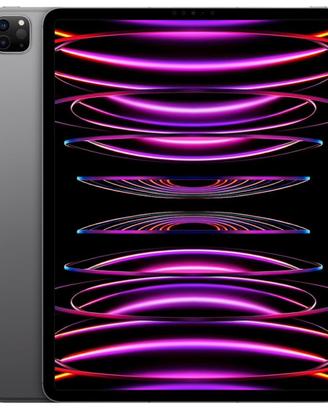 IPad pro 12,9” Wi-Fi + cell, 128 gb grigio sideral