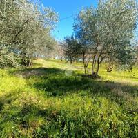 TER. AGRICOLO A FABRICA DI ROMA