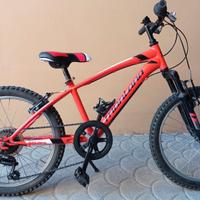 BICICLETTA MTB BAMBINO