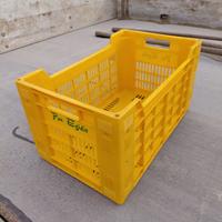 Cassette ortofrutta 90 pezzi