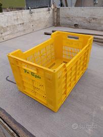 Cassette ortofrutta 90 pezzi