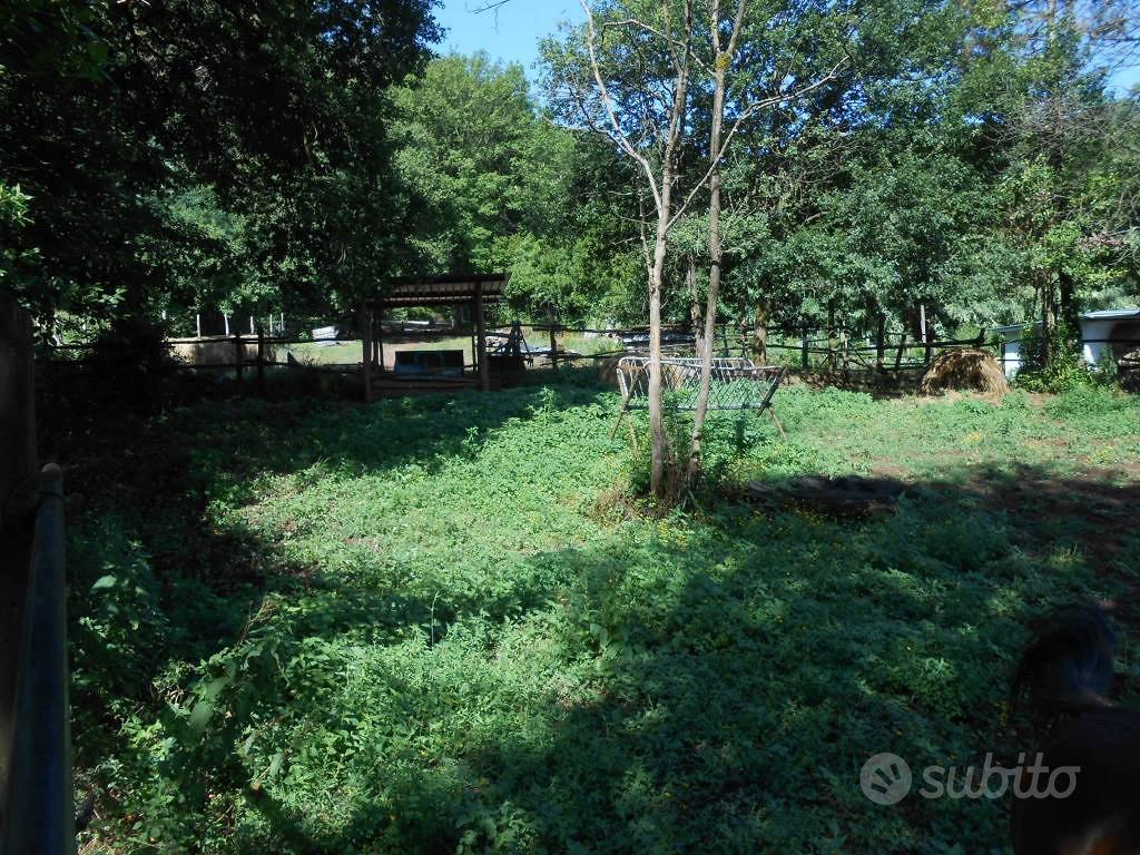 Terreno di 1790 m² a Lucca - Altro