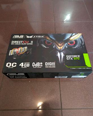 scheda video Asus 