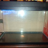Vasca per acquario 70l