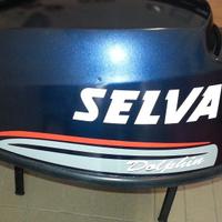 kit adesivi motore fuoriborso selva 15 hp dolphin