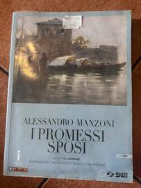 I promessi sposi