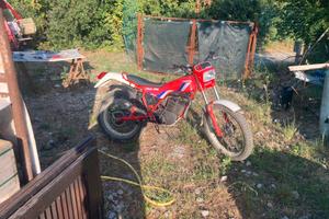 Fantic trial 300 professional