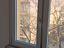 Immagine 9