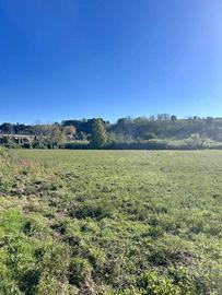 Terreno di 13000 m² a Tuscania