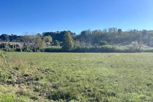 Terreno di 13000 m² a Tuscania