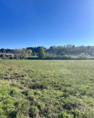 Terreno di 13000 m² a Tuscania