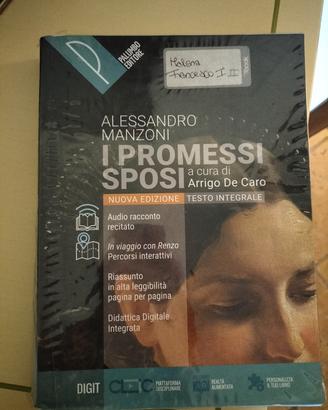 i promessi sposi